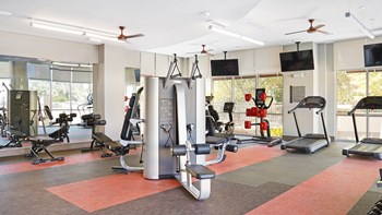 Weights and cardio in large fitness center - Photo Gallery 48