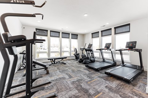 A gym with treadmills, elliptical machines, and a weight machine.