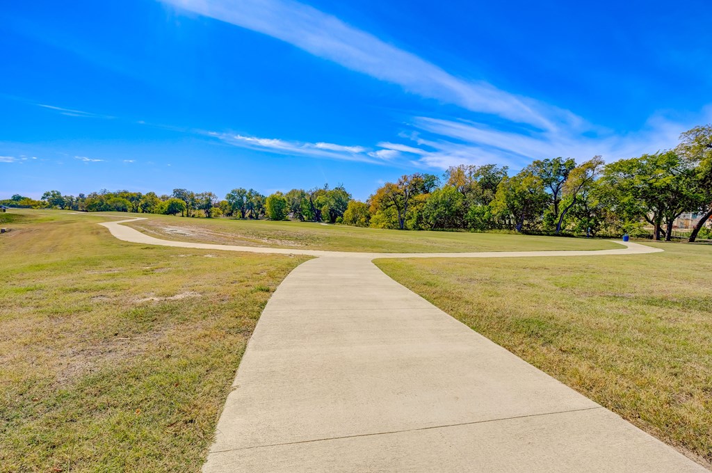 Willow Park Walking trails