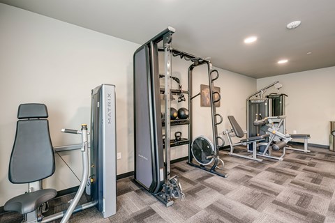 A well equipped gym with a variety of equipment.