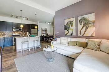 Model Living Room, Kitchen & Dining Room - Photo Gallery 2
