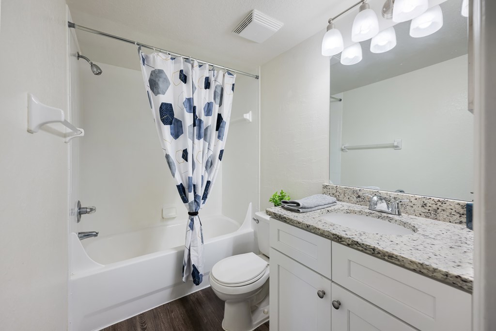 a bathroom with a shower curtain and a toilet and a sink