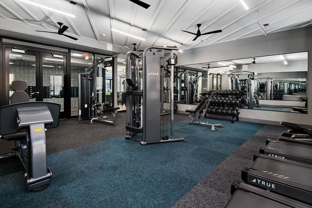 a gym with cardio equipment and weights on a blue carpet floor