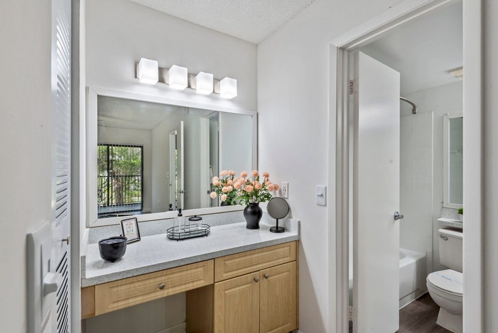 Vanity area in master bedroom