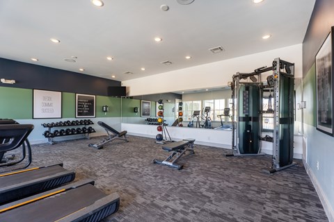 A gym with treadmills, weights, and exercise equipment.