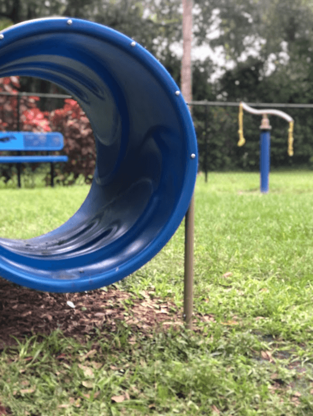 a blue slide in the grass in a park