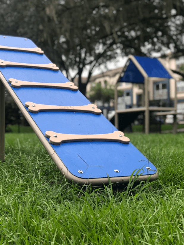 a row of surfboards on the grass in a park