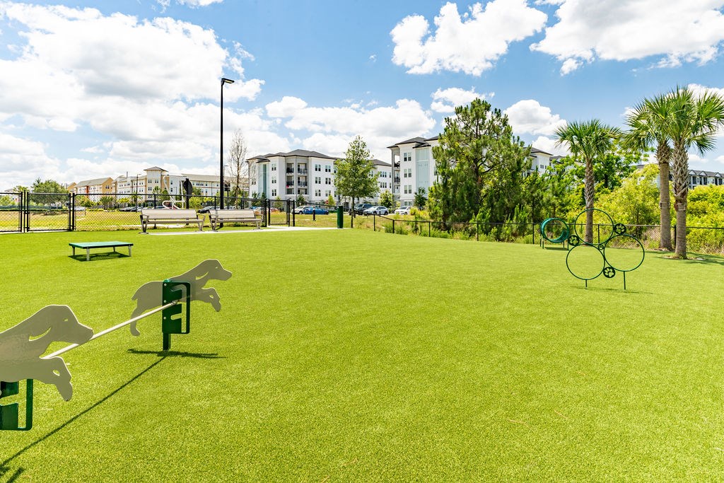 Dog park at westerly apartments with trees, grass, and agility equipment