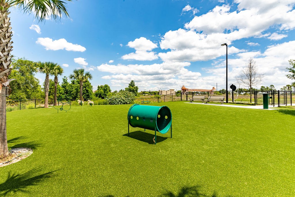 Dog park at westerly apartments with trees, grass, and agility equipment