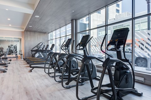 a row of cardio machines in a gym