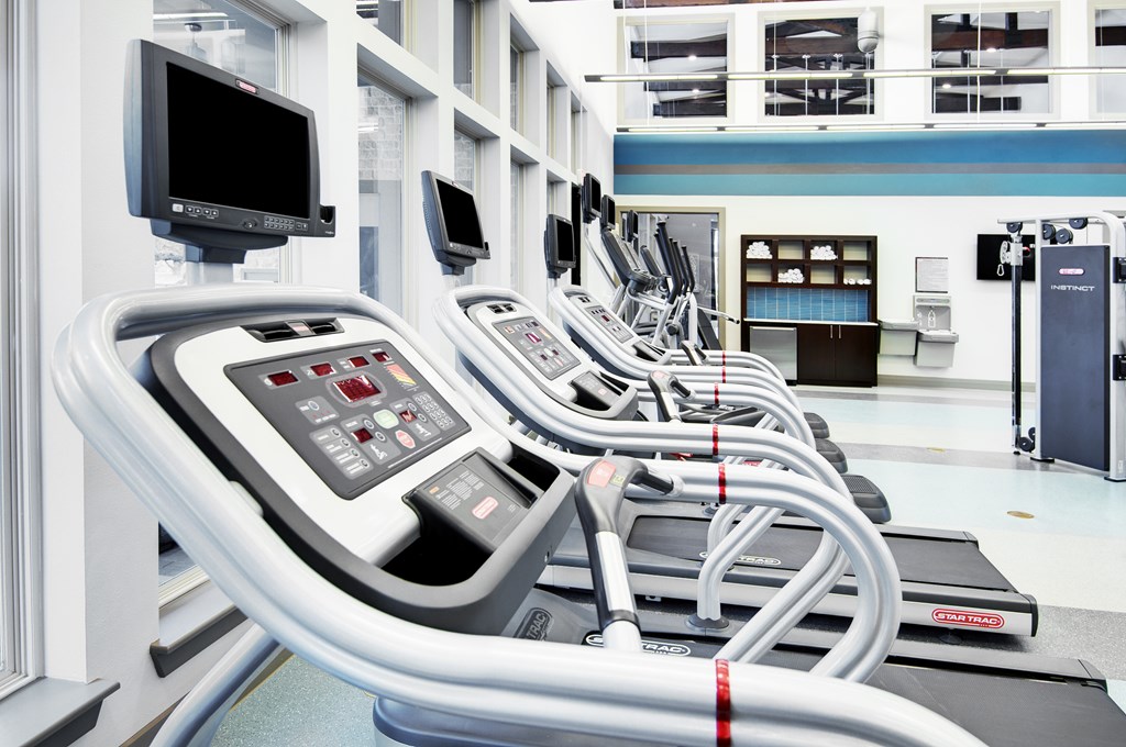 a row of cardio machines in a gym
