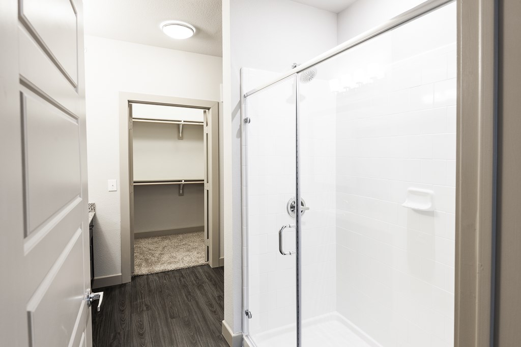 a bathroom with a shower and a closet