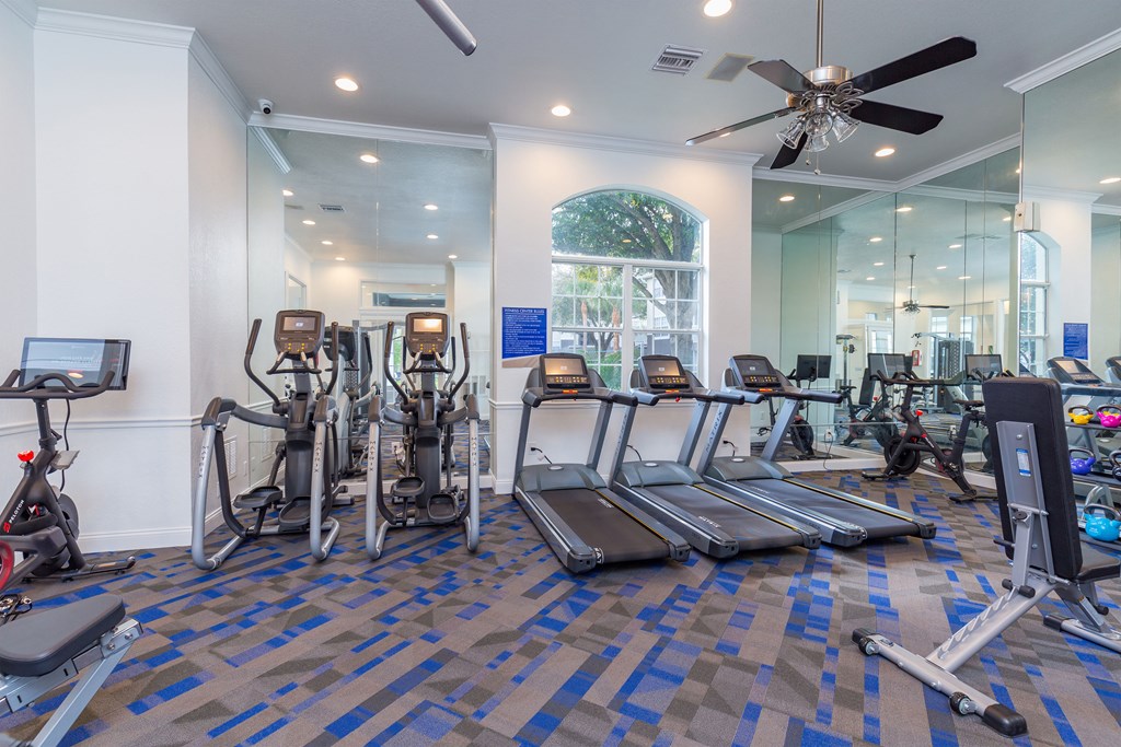 the gym at the enclave at woodbridge apartments in sugar land, tx