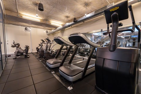 A gym with treadmills, exercise bikes, and other equipment.