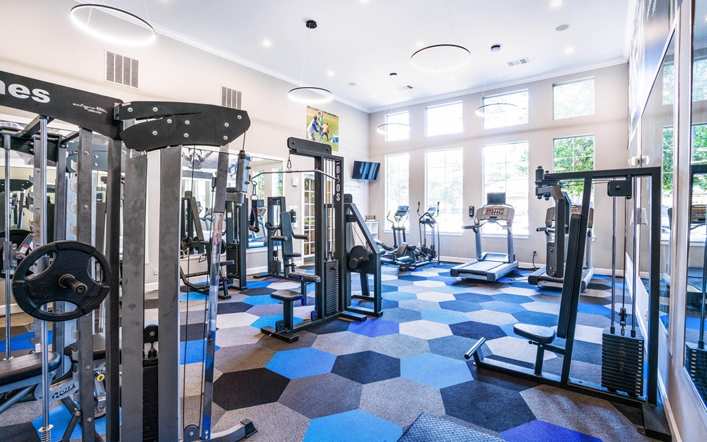 a gym with a lot of exercise equipment and lots of windows