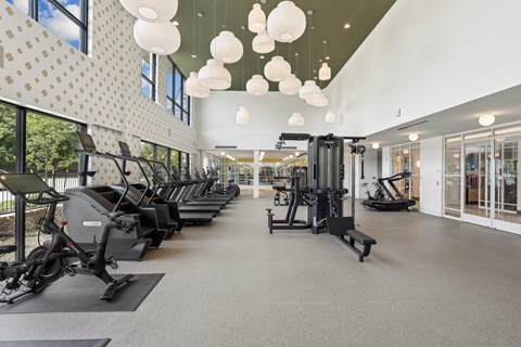 A gym with a row of treadmills and elliptical machines.