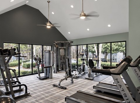 A gym with a variety of equipment including treadmills, weights, and a bench press.