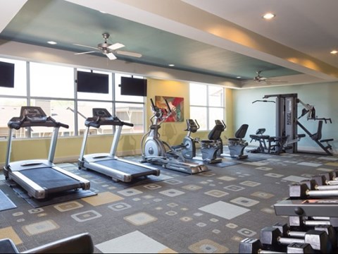 A gym with treadmills, elliptical machines, and weights.