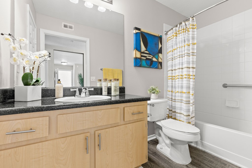 our apartments offer a bathroom with a tub