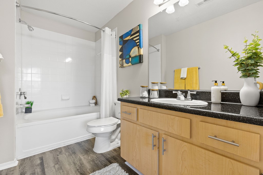 our apartments offer a bathroom with a bathtub