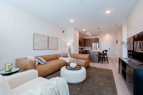 A modern living room with a brown sofa and a grey rug.