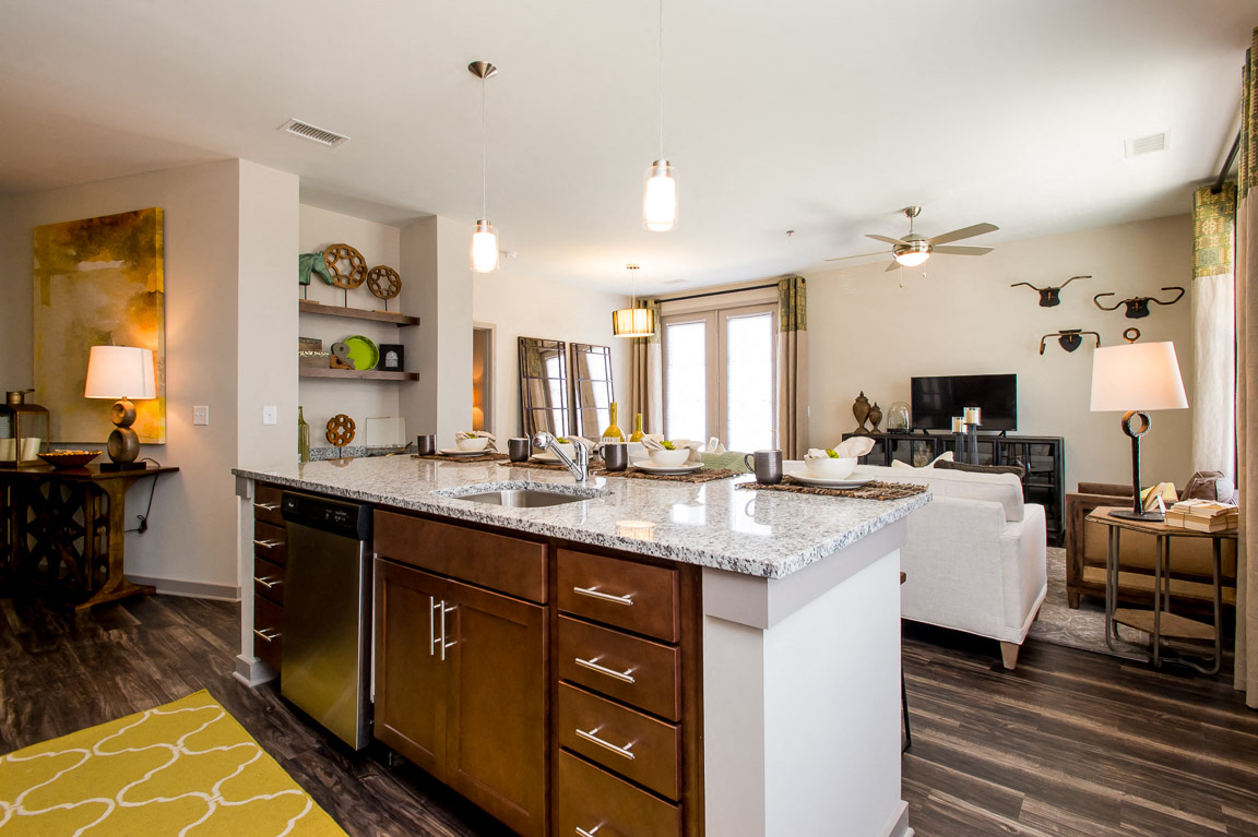 Brand New Franklin TN Apartments