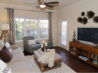 Grove at Shadow Green Living Room5 Luxury Apartments in Downtown Franklin TN5 - Photo Gallery