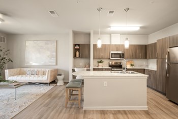 Model Kitchen and Living Room - Photo Gallery 3