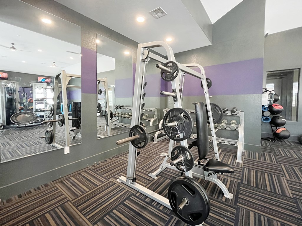 Free weights and bench press machine