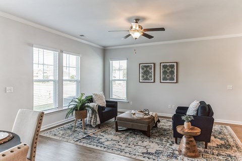 A living room with a rug, a sofa, a chair, a coffee table, and a ceiling fan.