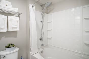Shower & Bath Features