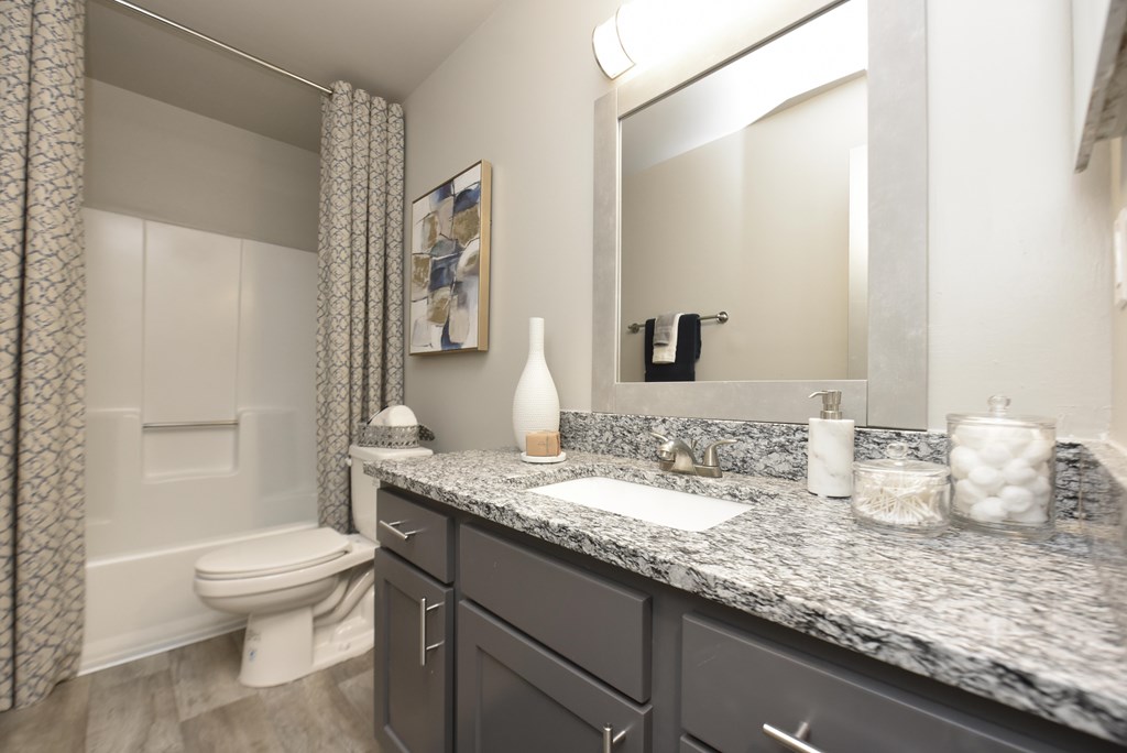 Granite Countertops in Bathroom in Renovated Apartments for Rent