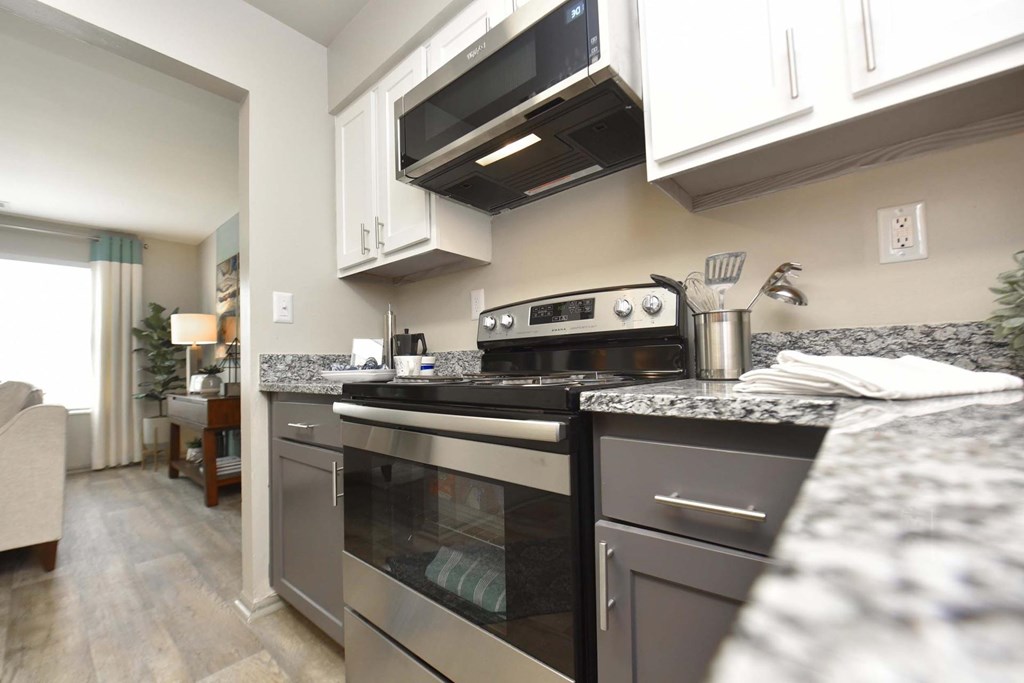 Granite Countertops in Apartment Kitchen For Rent in Indianapolis