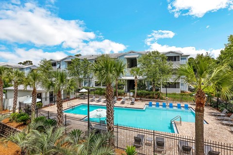 Beautiful Resort Style Pool Surrounded by Palm Trees