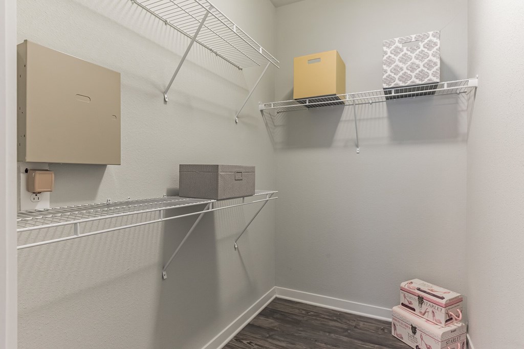 Large Walk-In Closet