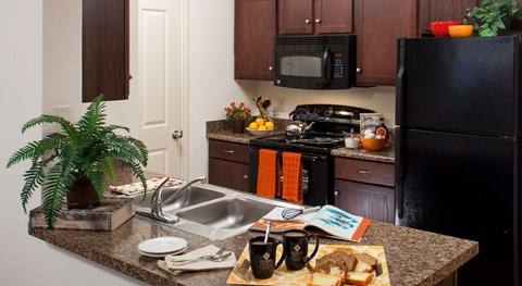 A kitchen with a black refrigerator and a sink with a dish towel on the counter.