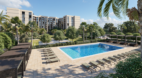 A swimming pool surrounded by sun loungers and palm trees.