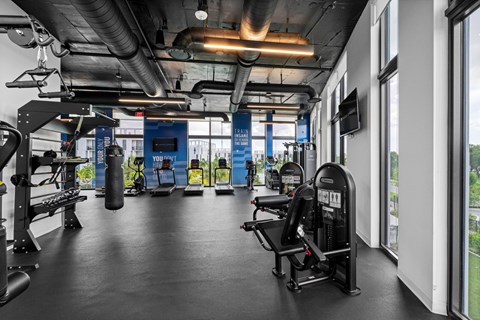 A gym with a variety of equipment including a punching bag and a rowing machine.