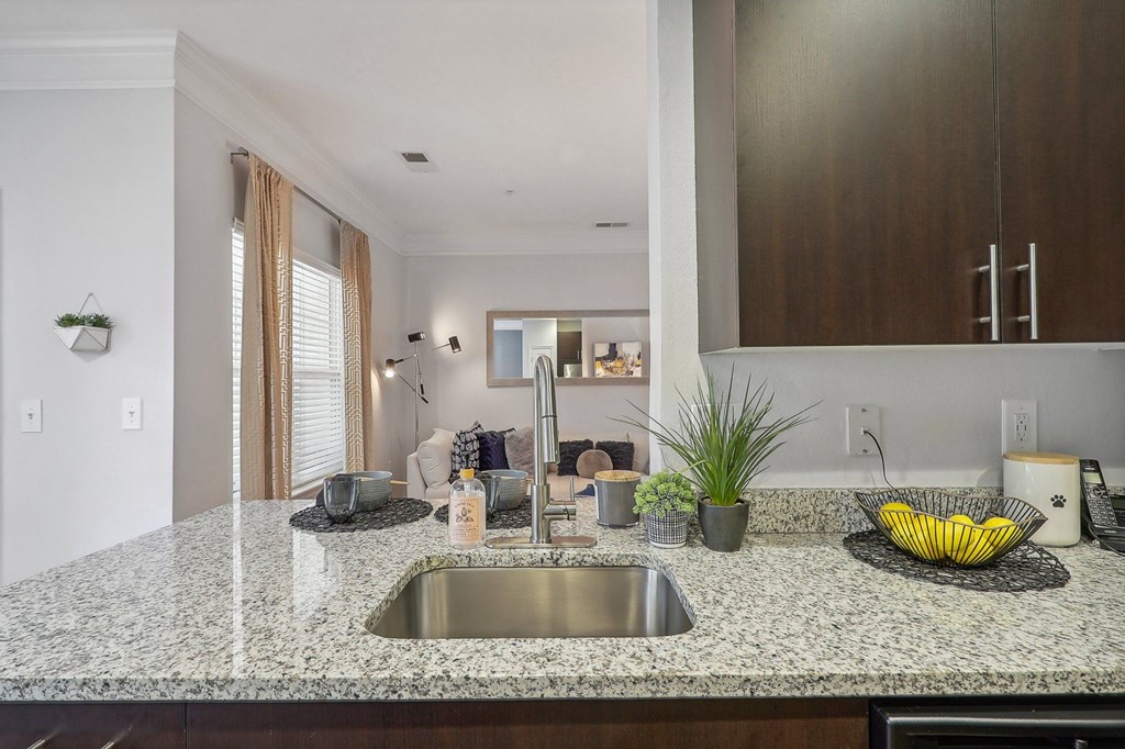 a kitchen with a sink and a counter top