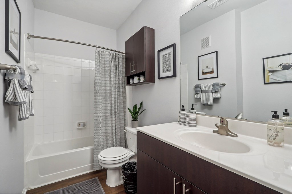 a bathroom with a sink and a toilet and a shower