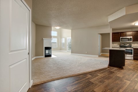 A living room with a wood floor and a white door.