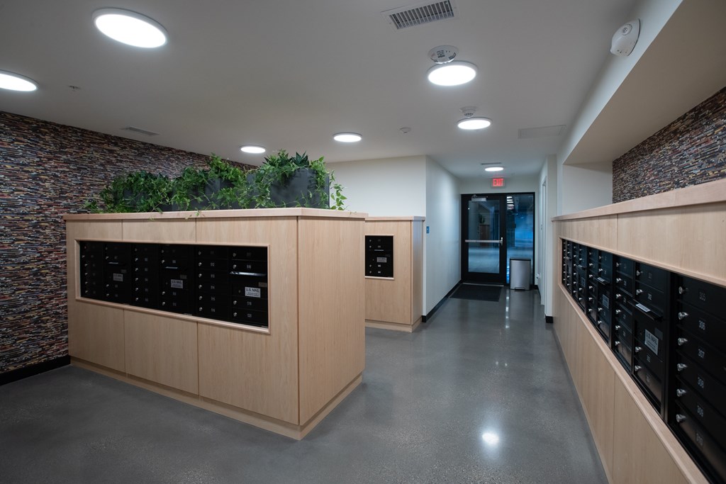an empty room with a plant on top of the counter