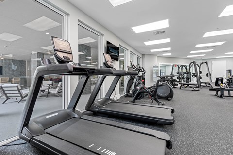 A treadmill is in the foreground of a well-equipped gym.