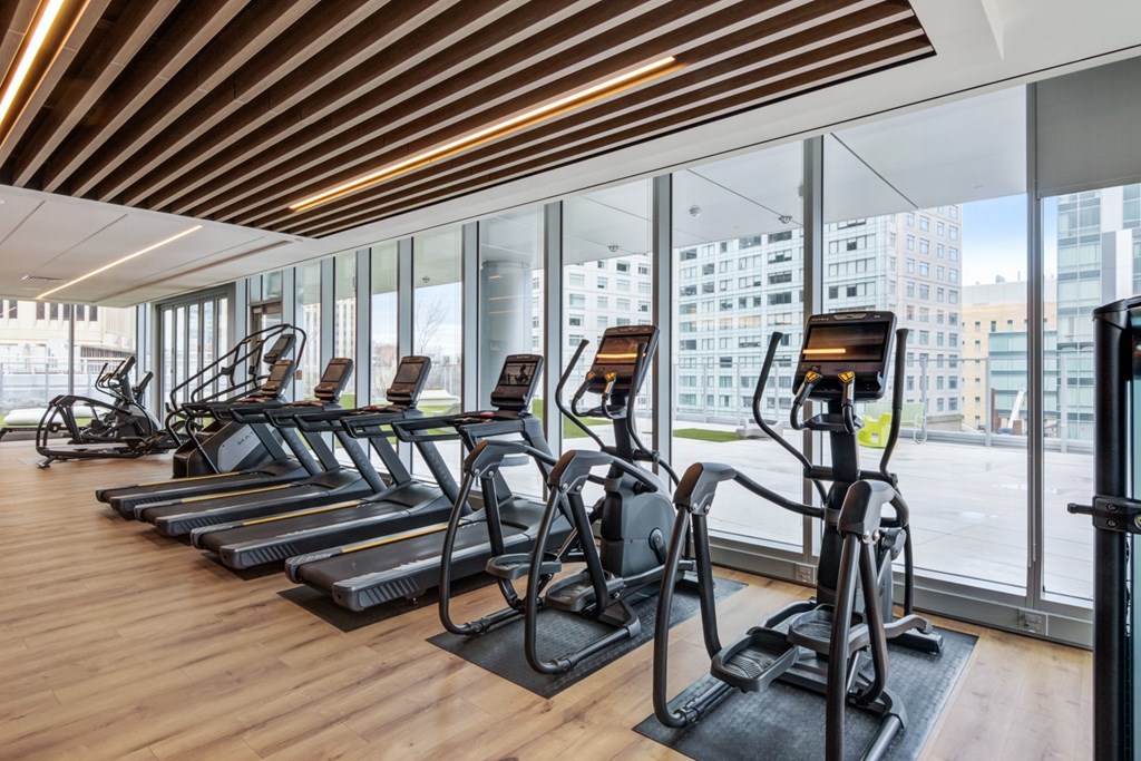 Fitness center with multiple sleek treadmills and elliptical machines in front of floor to ceiling windows