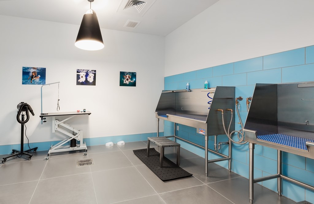 Ora Seaport Dog Wash Stations