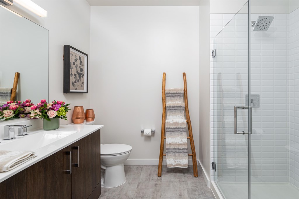 a bathroom with a toilet and a ladder in the shower