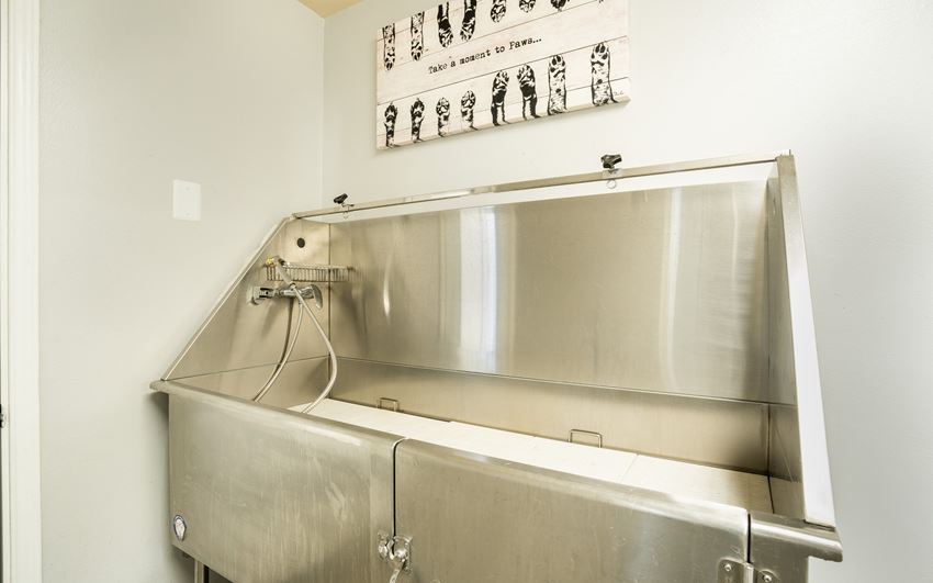 Pet Wash Station