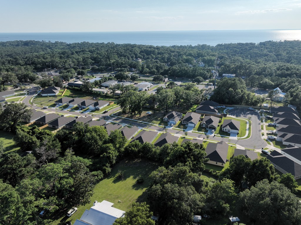 an aerial view of a neighborhood with houses and trees and the ocean in the background