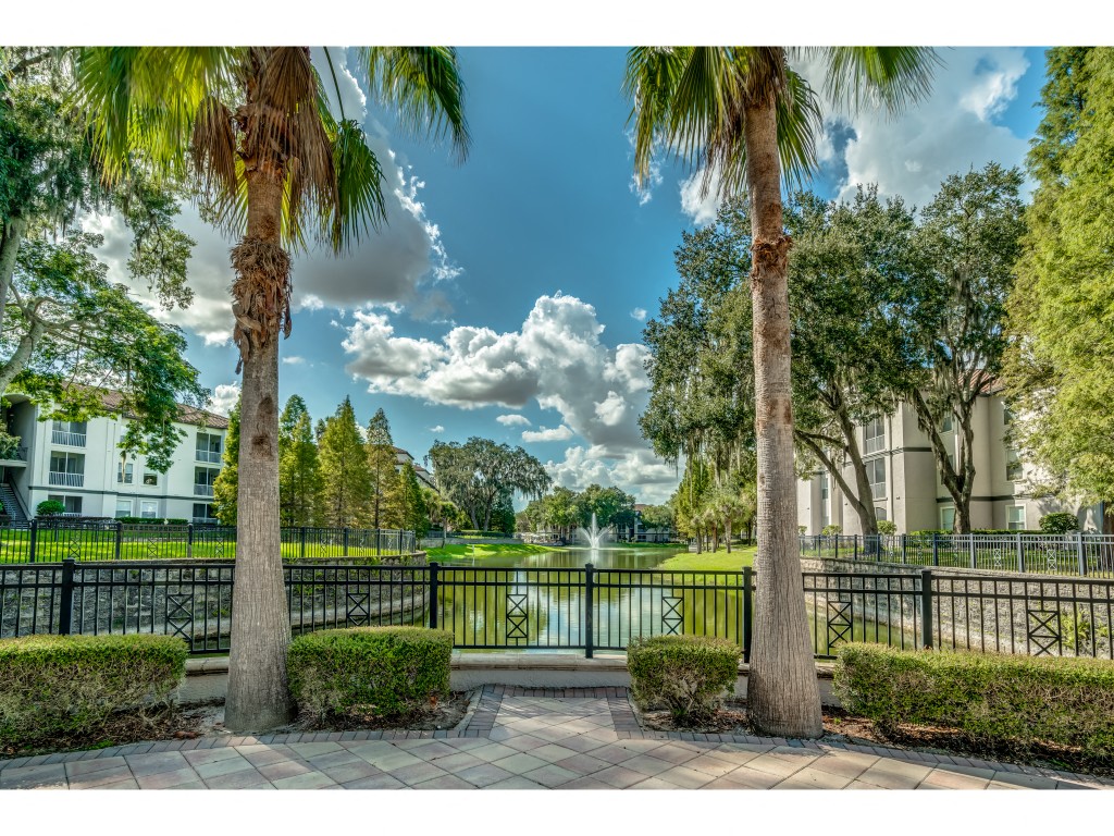 an image of a park with a pond and trees