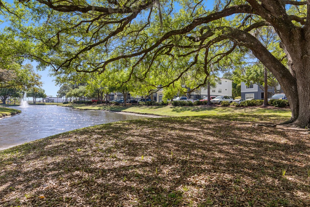 a park with trees and a body of water